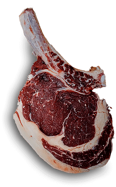 meat2.png