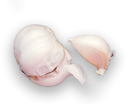 onion.png