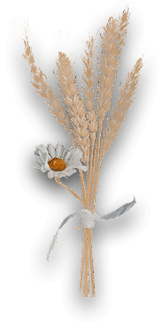 wheat.png